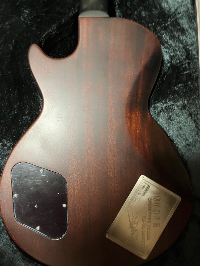 パニはげ ESP INORAN ILP-00 DRAGON