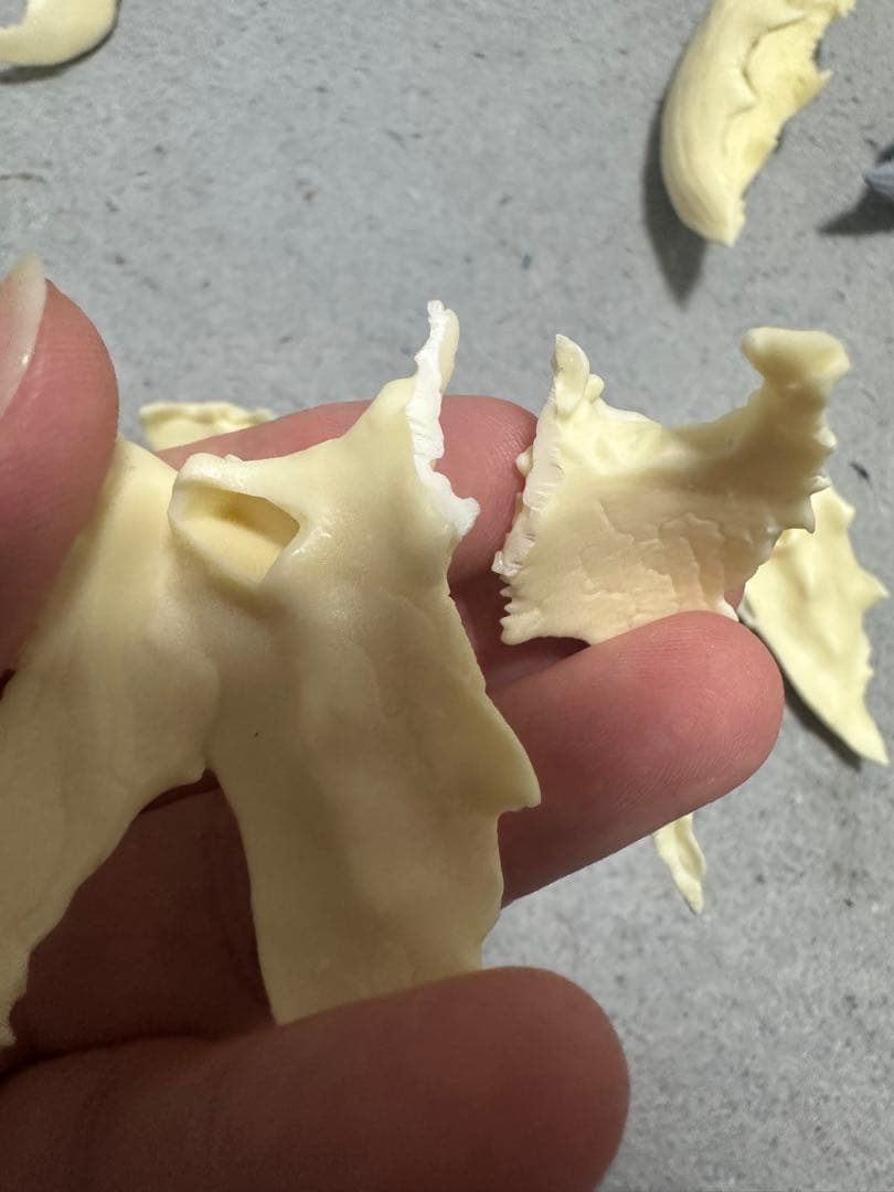 バルタン星人ワンダーフェスティバル2026 東京