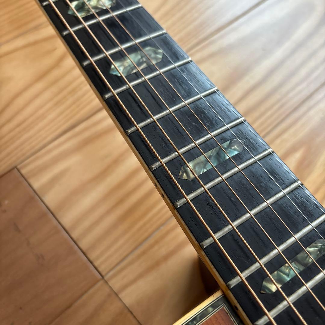 Fernandes アコースティックギター　W-400