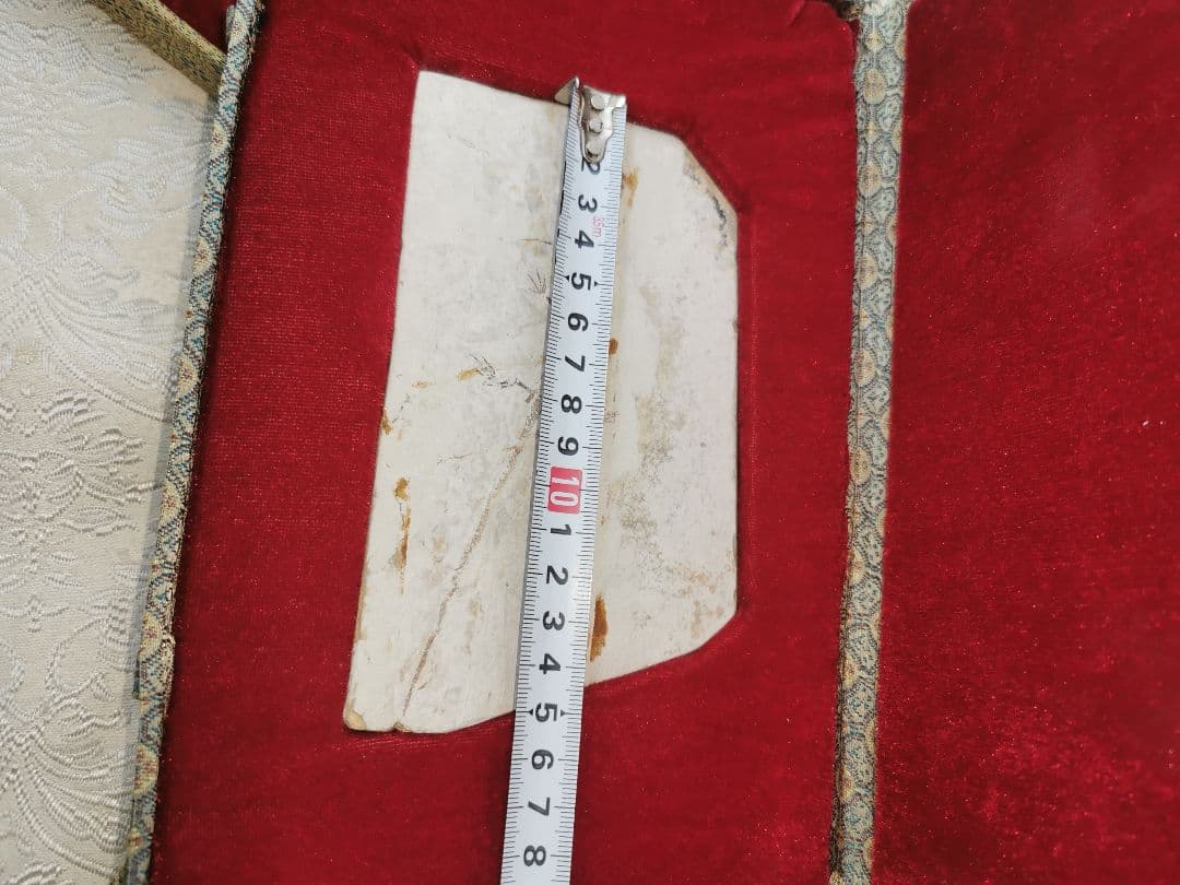 化石　ケイチョウサウルス、ハイファロサウルス　（ヒファロサウルス）3点セット