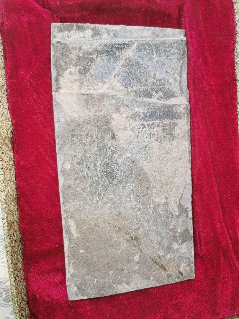 化石　ケイチョウサウルス、ハイファロサウルス　（ヒファロサウルス）3点セット