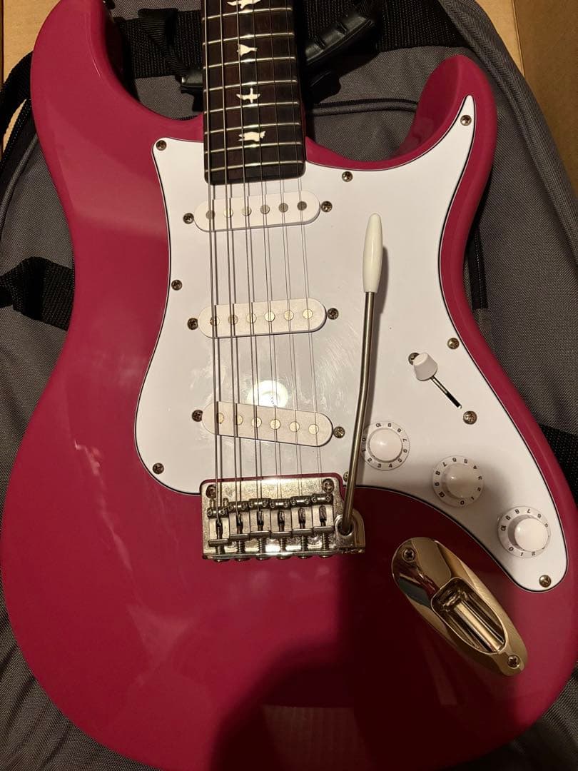 【たこやき】PRS SE Silver Sky