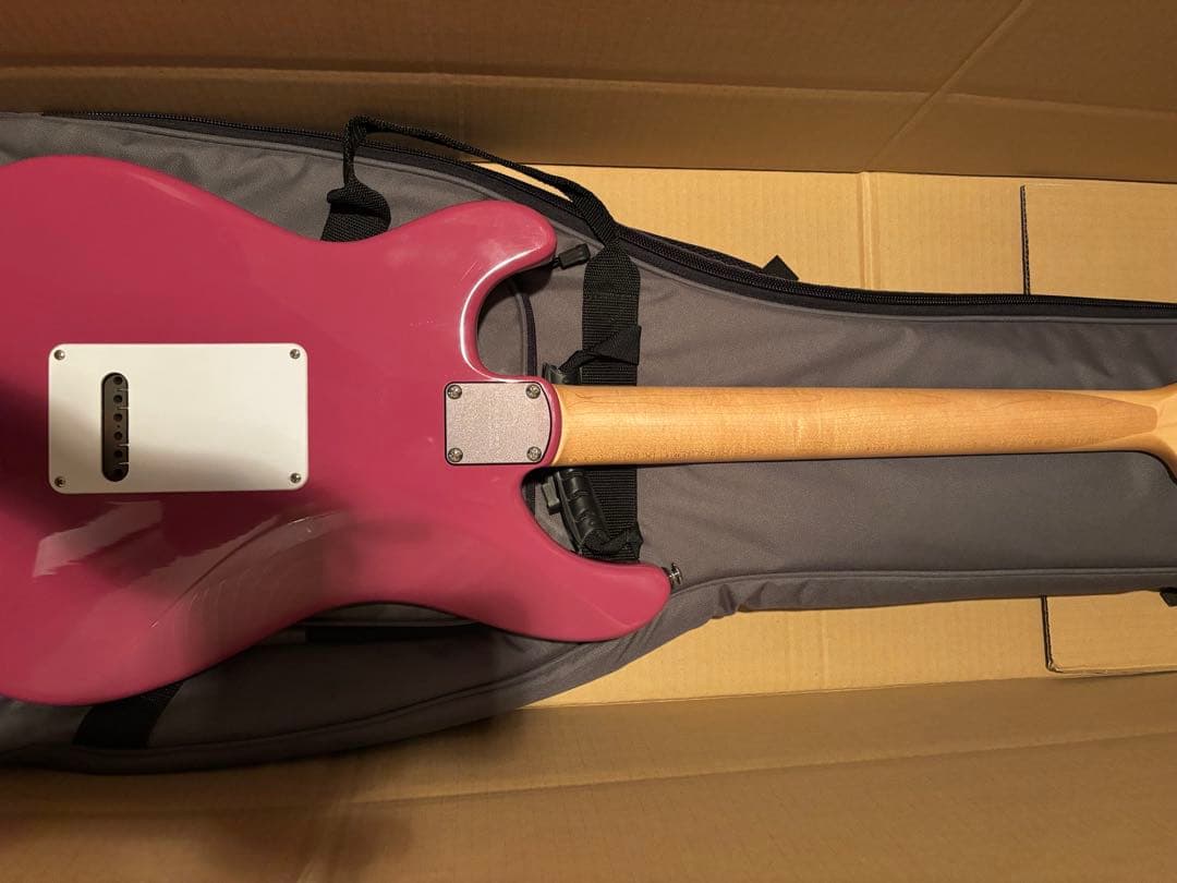 【たこやき】PRS SE Silver Sky