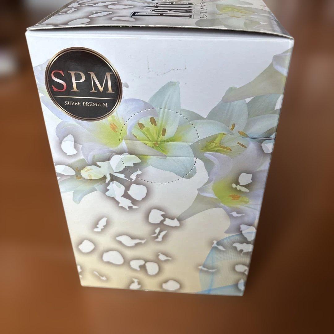 Fate/Grand Order アルトリア・ペンドラゴン リリィ　フィギュア