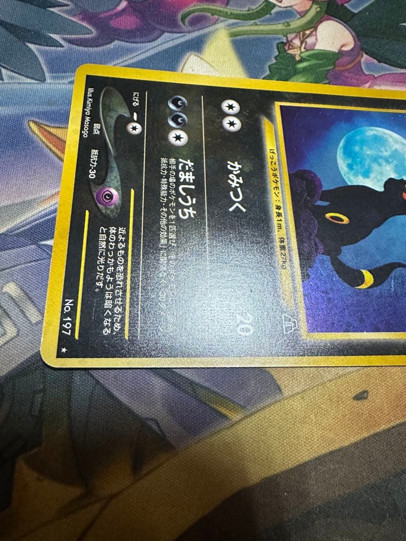 旧裏　ブラッキー　LV40 遺跡をこえて