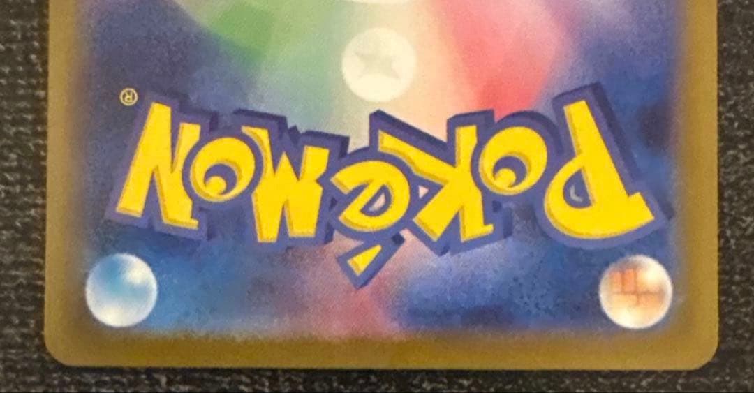 アセロラのいたずらSAR 11/24(月)自引き