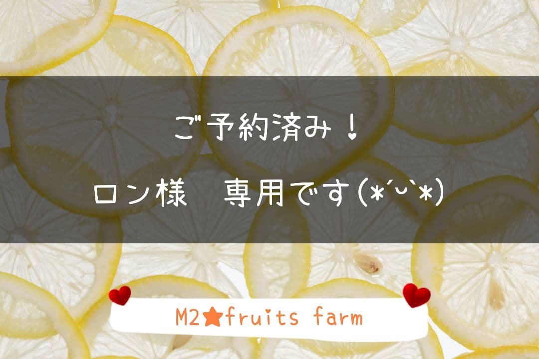 【ꕤ436】はるか『ご家庭用』熊本みかん（20kg）