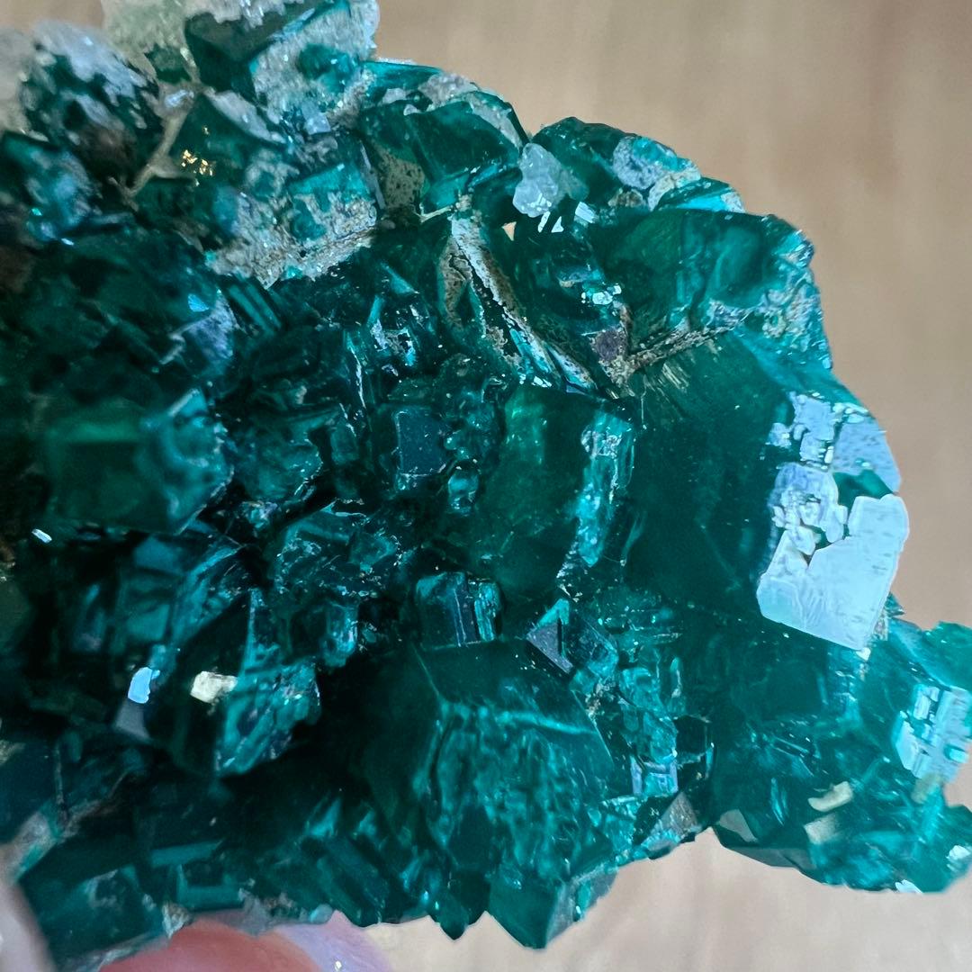 ダイオプテーズ F8 鉱物 標本 原石