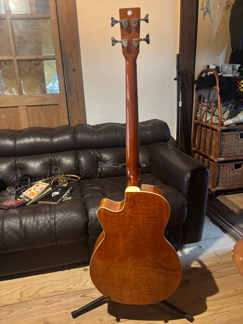 ZENN アコースティックベース ソフトケース付き