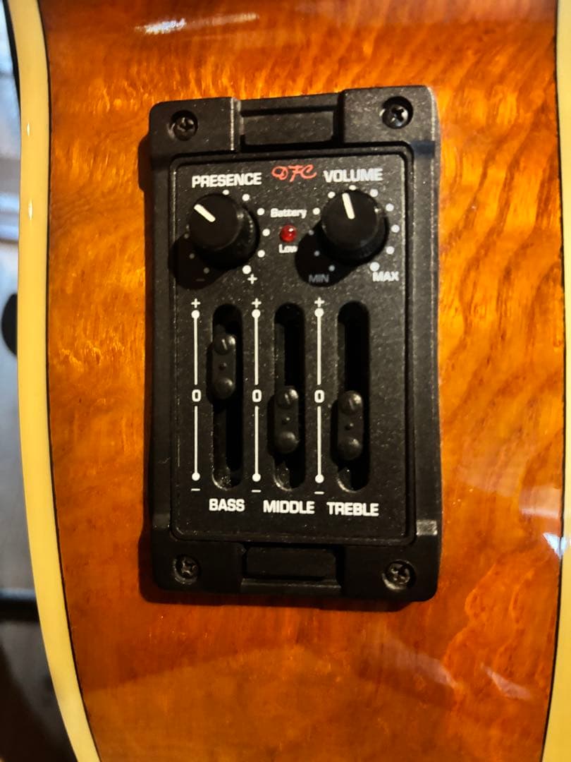 ZENN アコースティックベース ソフトケース付き