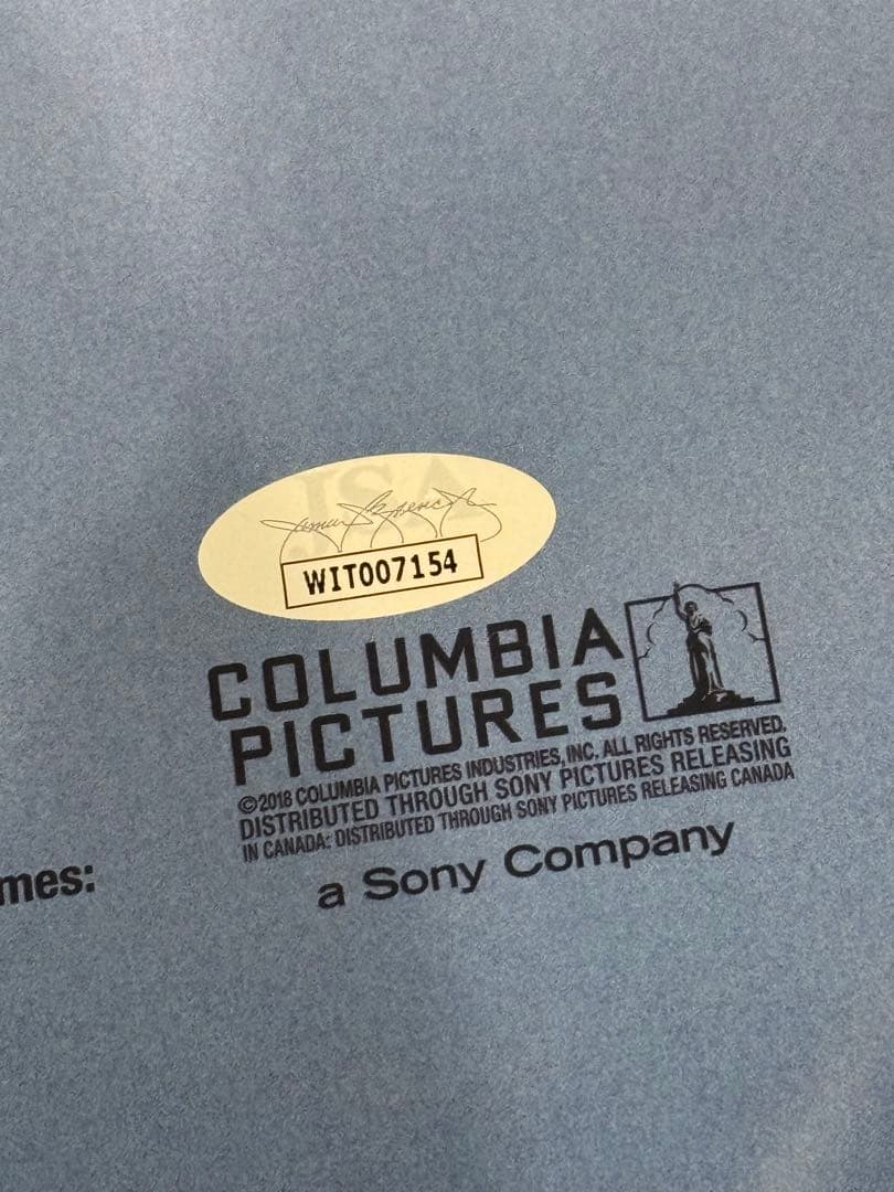 映画館ポスター　スパイダーマンスパイダーバース ShameikMoore JSA