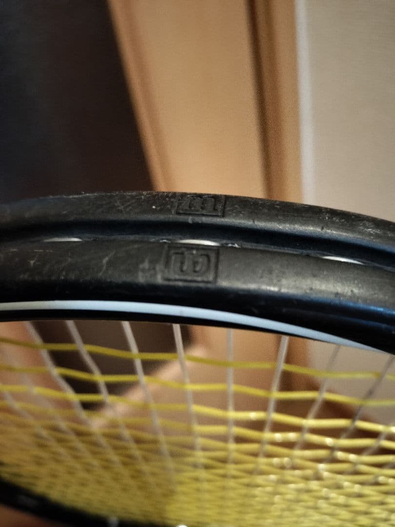 プロストック　H22