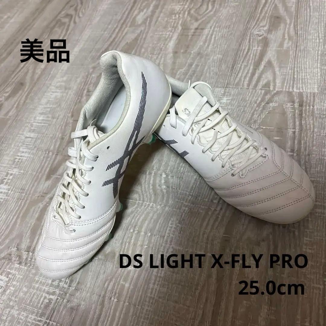 アシックス　DS LIGHT X-FLY PRO 25.0cm