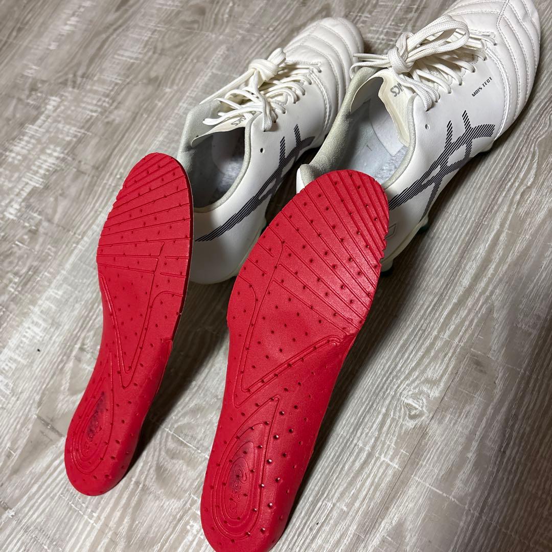 アシックス　DS LIGHT X-FLY PRO 25.0cm