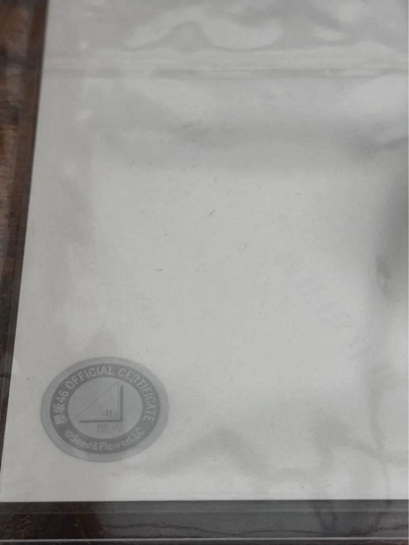 合*3様 守屋麗奈 櫻坂46 2025年 浴衣 生写真 直筆 サイン ヨリ