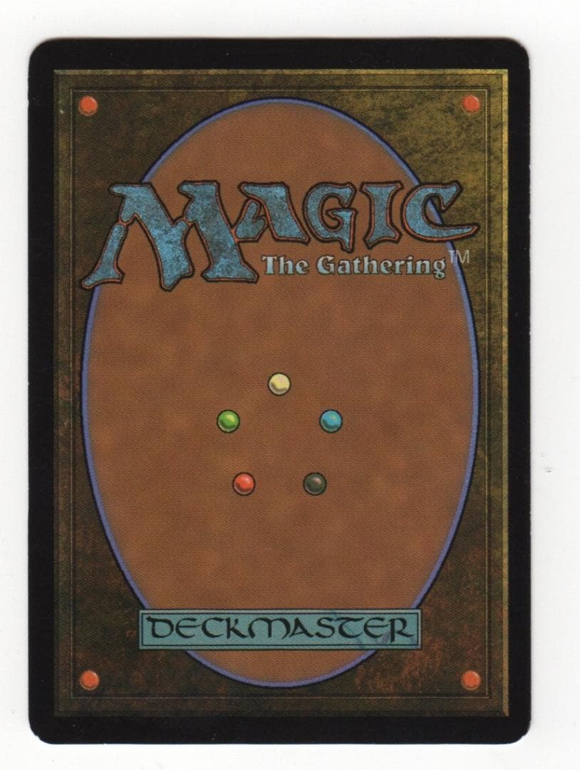 MTG 生命の律動 黒枠 Foil 第 9版 統率者 EDH 日本語