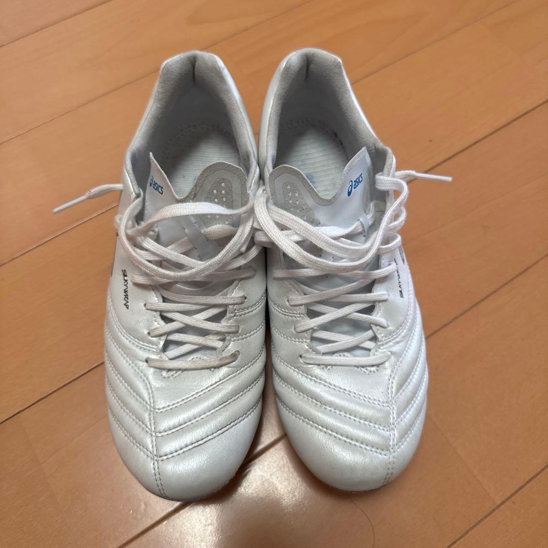 DSライト X-FLY PRO3 25cm