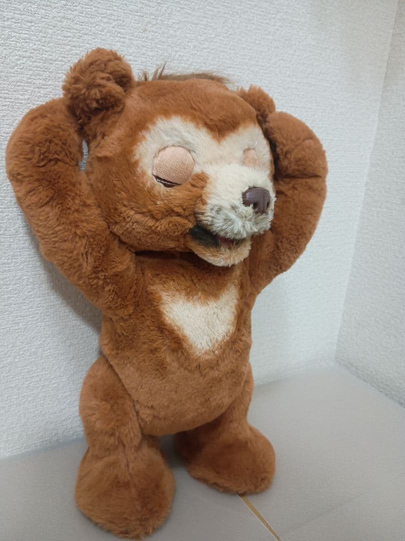 5 11/19　ファーリアル　遊ぶのだいすき♪ こぐまのカビー