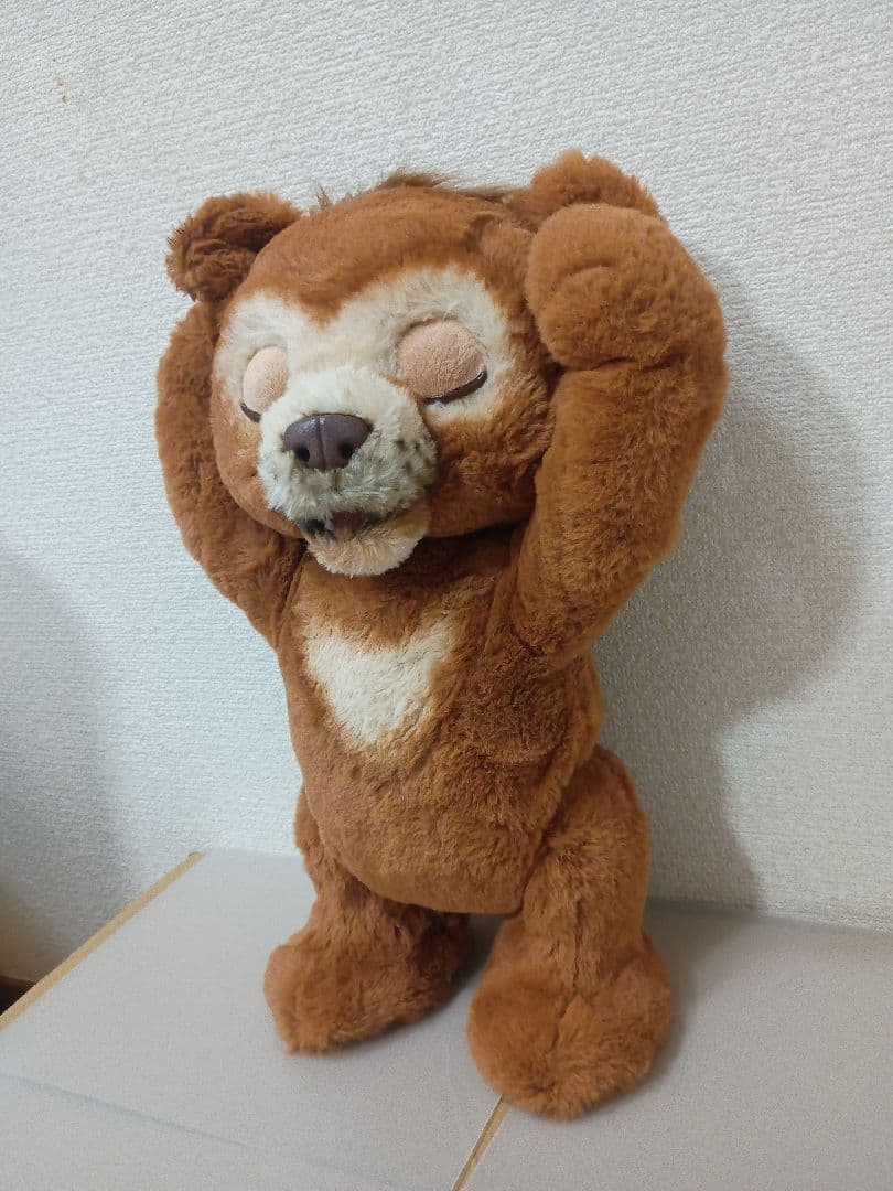 5 11/19　ファーリアル　遊ぶのだいすき♪ こぐまのカビー