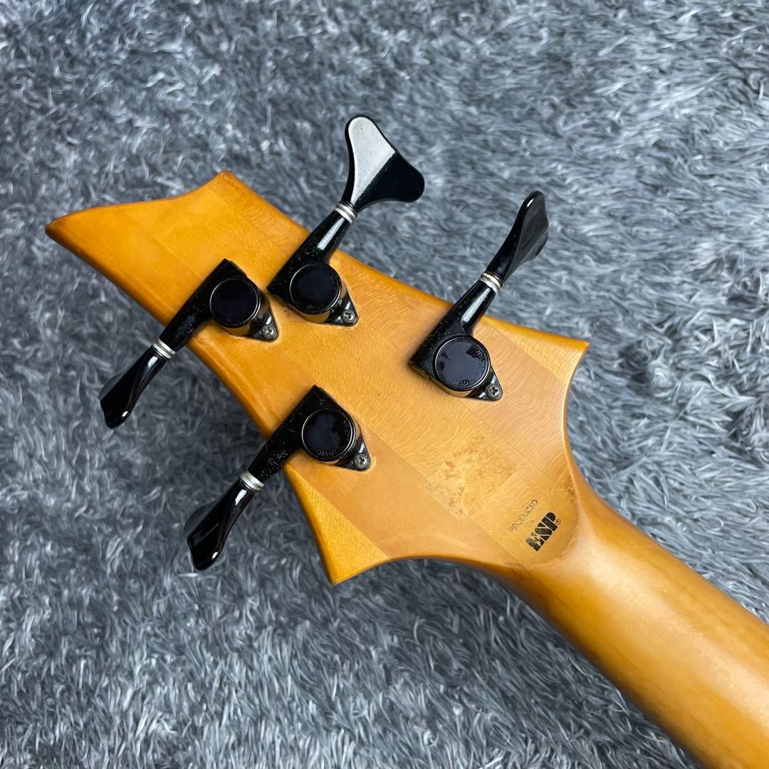 Edwards E-G-90B PENICILLIN GISHOモデル