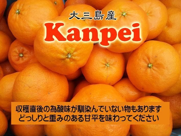 【MH USK】LL甘平9Kg　　同梱発送