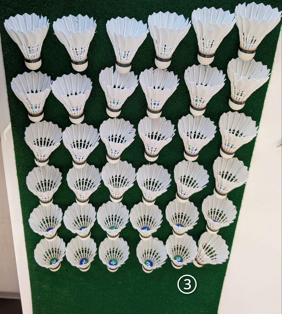 NEW OFFICIAL F4 10ダース