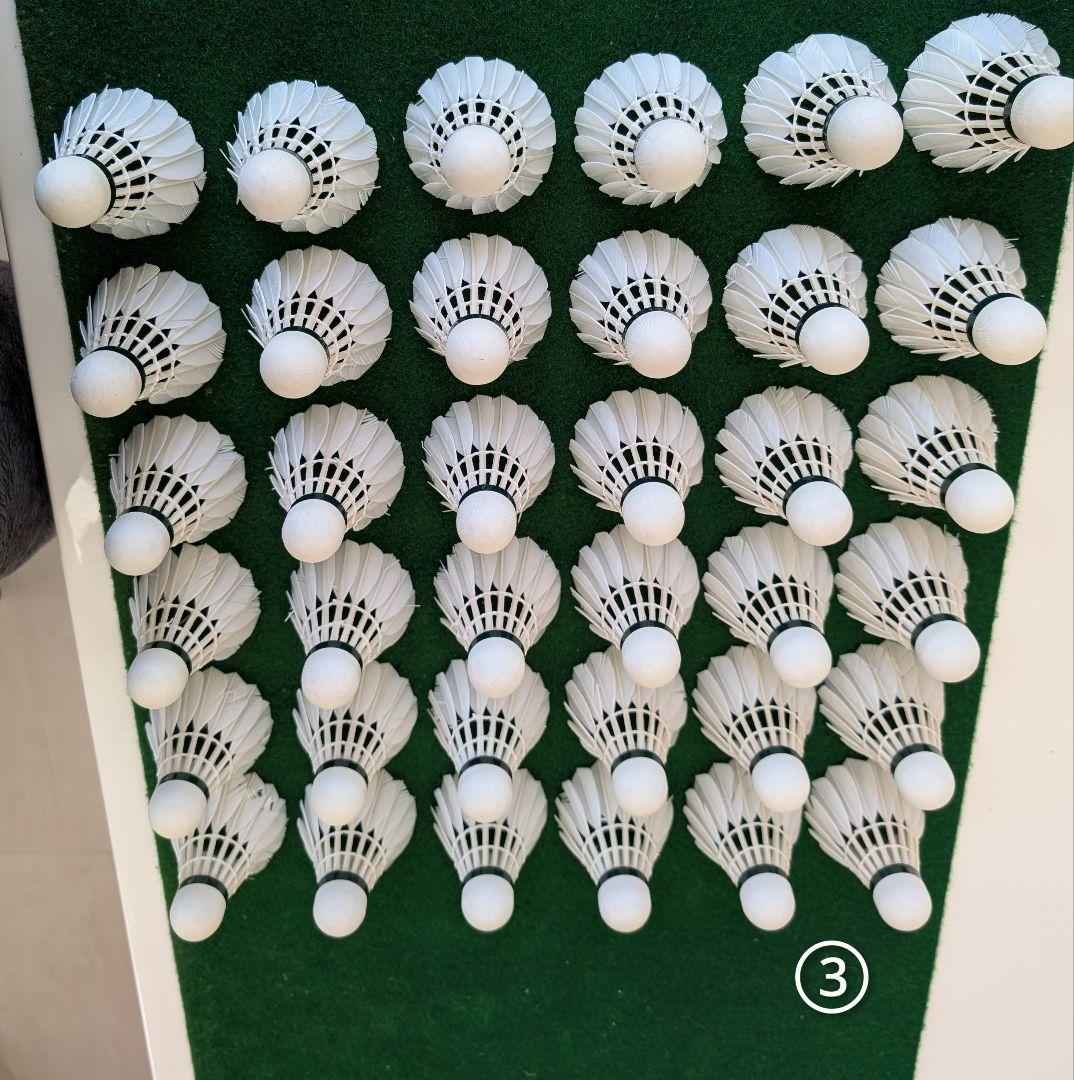 NEW OFFICIAL F4 10ダース