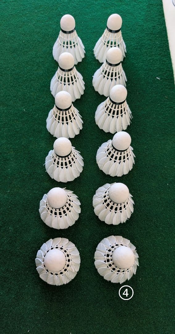 NEW OFFICIAL F4 10ダース