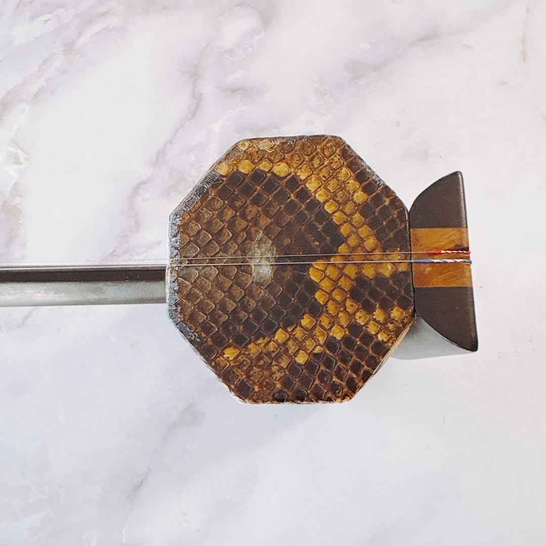 【超訳あり•胴格子破損】　二胡　ハードケース付き