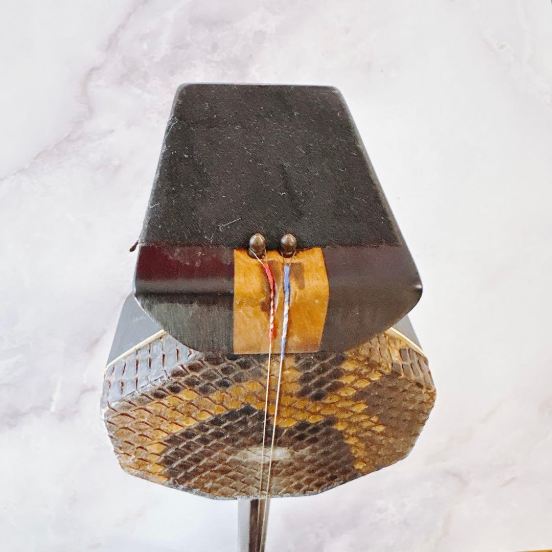 【超訳あり•胴格子破損】　二胡　ハードケース付き