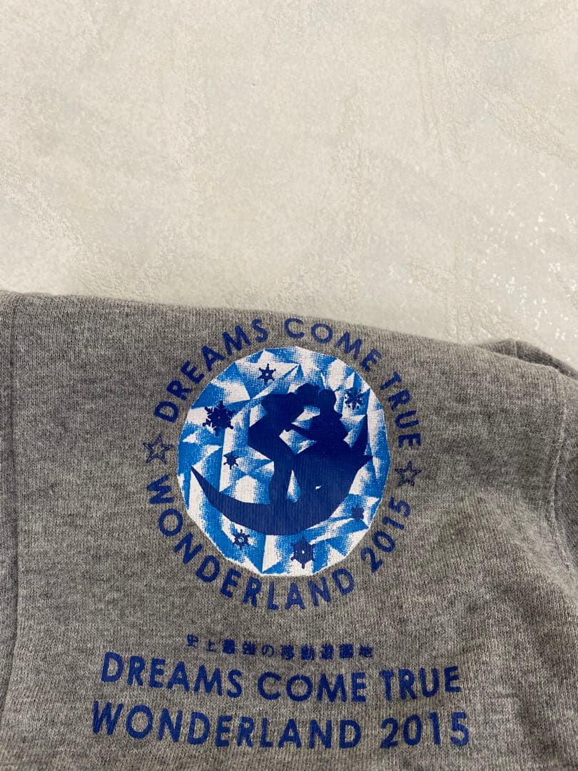 Dickies × DREAMS COME TRUE 2015 パーカー S