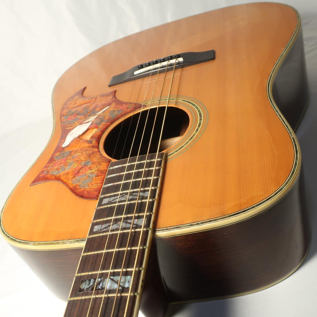 Morris W-30 エレアコ仕様 ギター ハードケース付