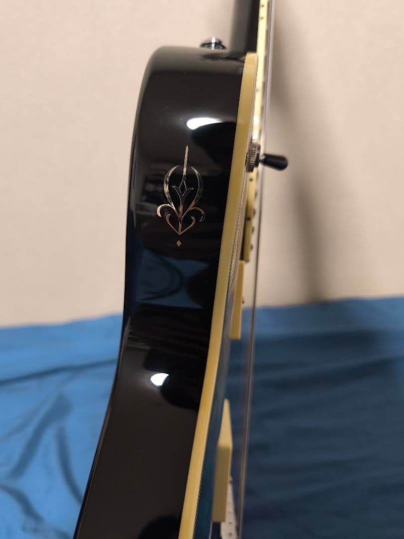 Michael Kelly Guitars エレキギター