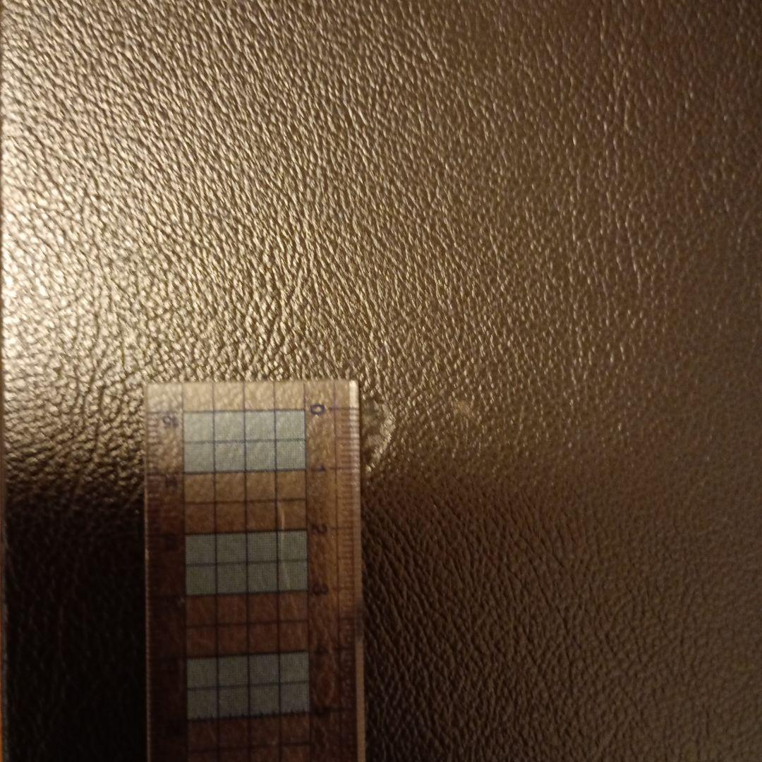 ドンナハウス　フィットペダル