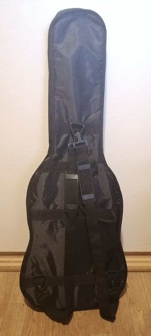 【生産終了品】Bacchus universe series テレキャスター