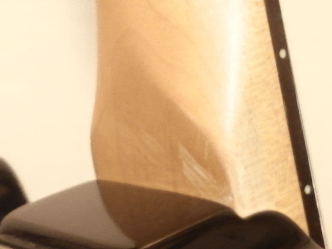 【生産終了品】Bacchus universe series テレキャスター