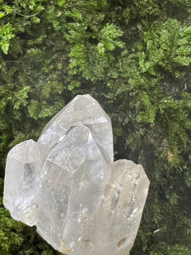 龍脈の精髄 虹入りカテドラル水晶宝石質AAA （売上の一部は保護猫活動に使用）