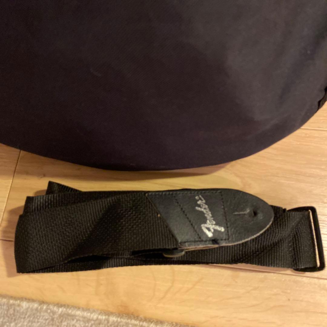 大幅値下げ！！【希少！】Chatting Bird CAS-390 エレキギター