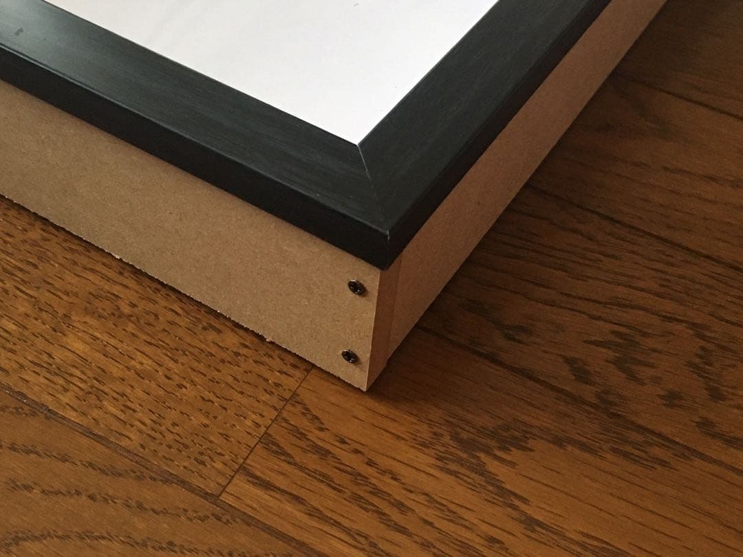 Ooo　標本箱A4サイズ黒枠5点