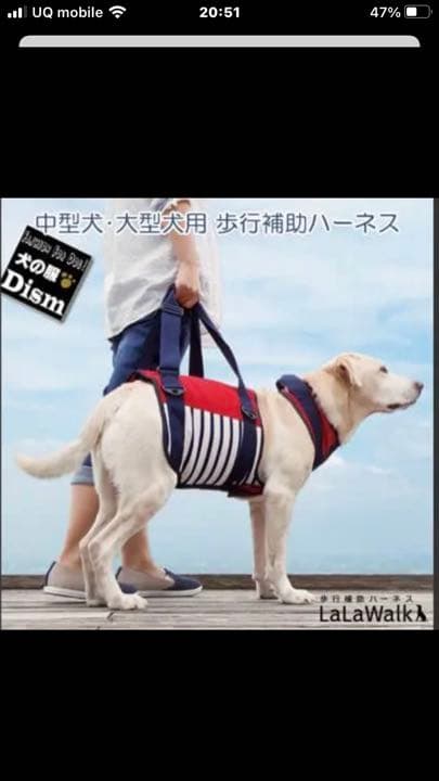 ハーネス　歩行補助　老犬介護　シニア犬　値下げしました
