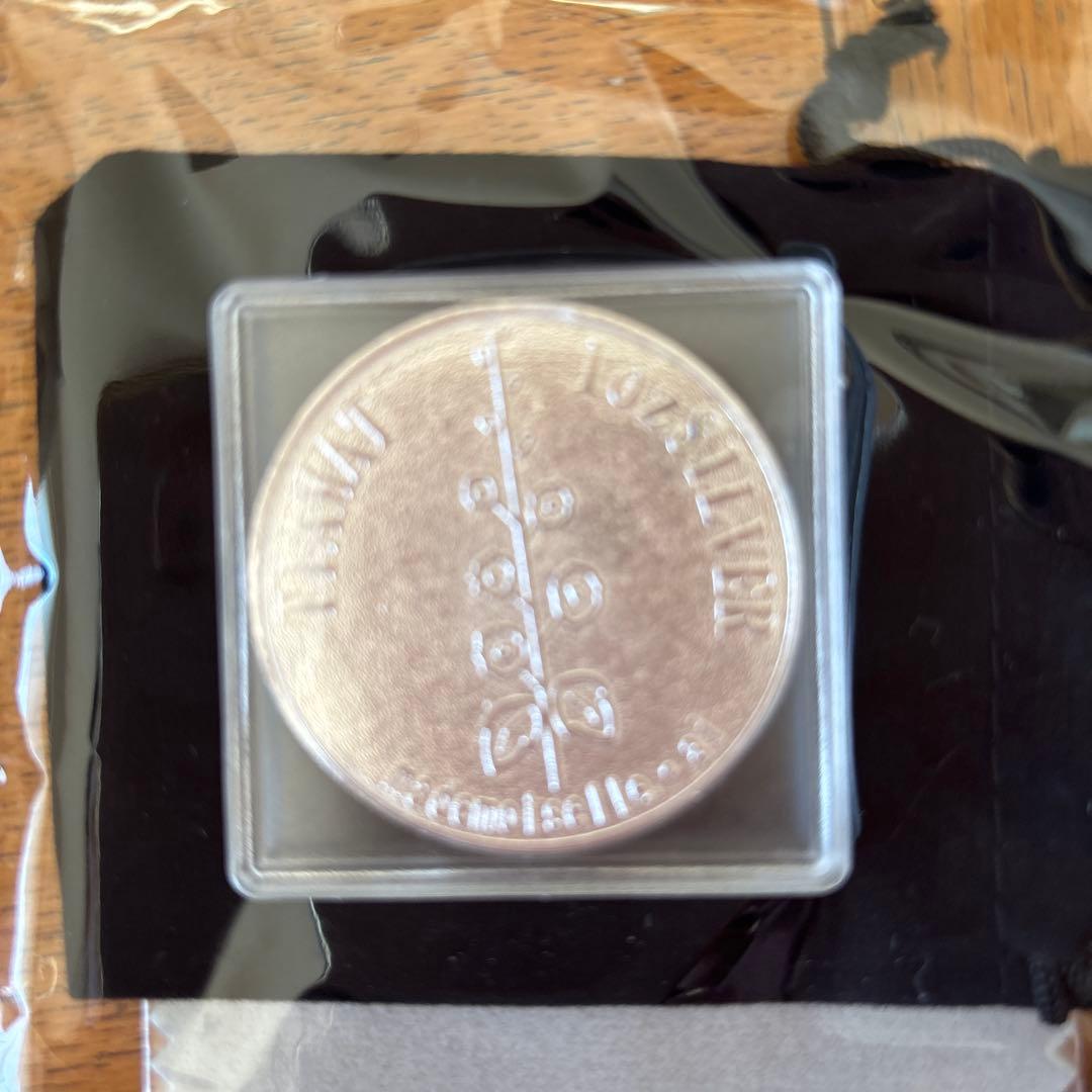 マドモアゼル愛: 新TIAMAT シルバー 40g ×4個 総量160g