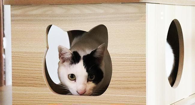 アウトレット3 キャットタワー 木製 宇宙船　展望台　多頭飼い 大型 178cm