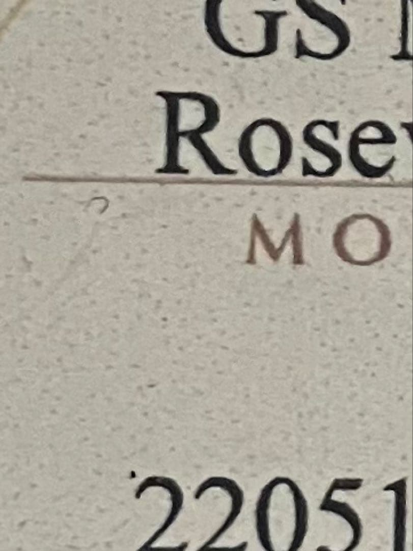 TAYLOR GS mini ROSEWOOD 美品 専用ケース付