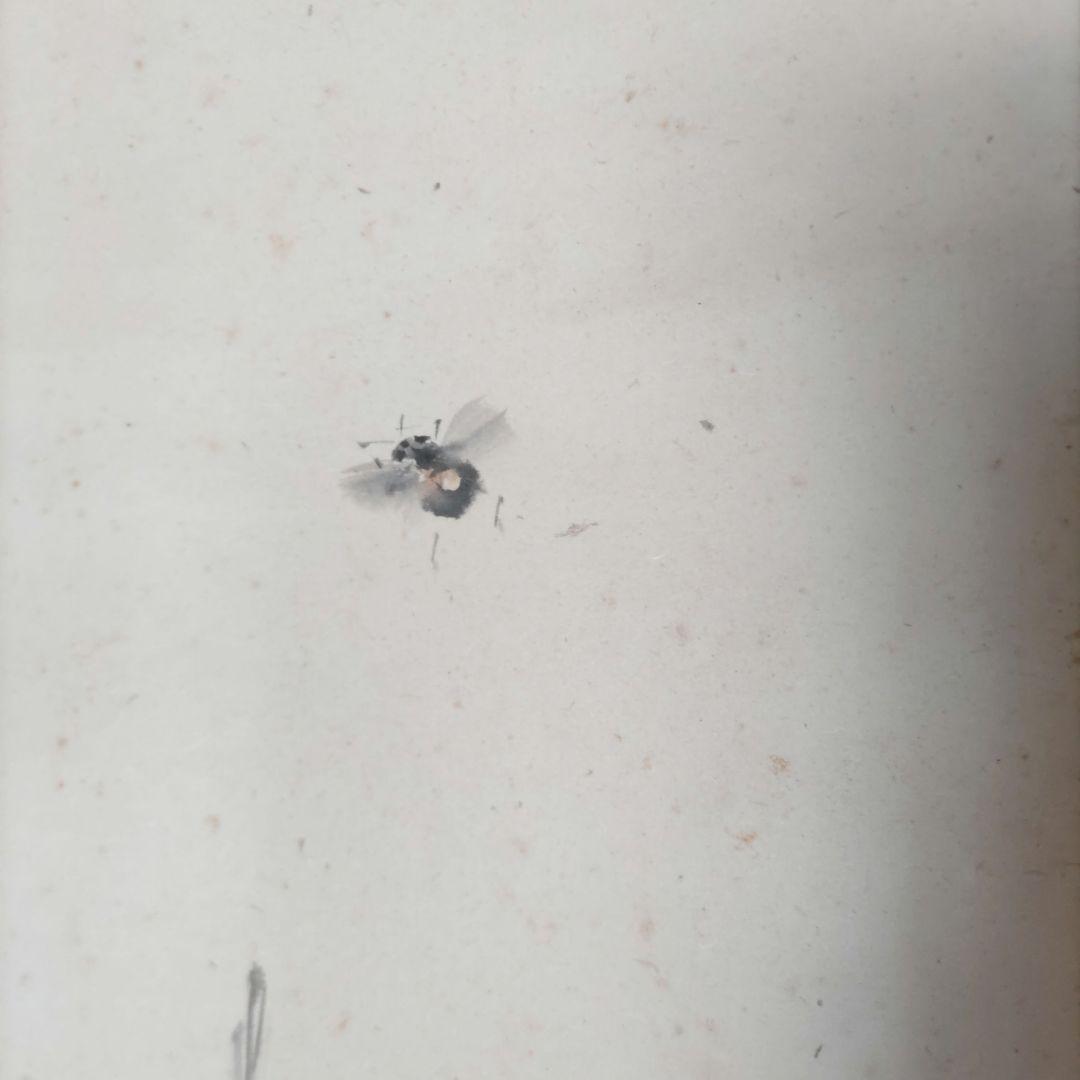 芳年　牡丹に蜂掛軸　H70