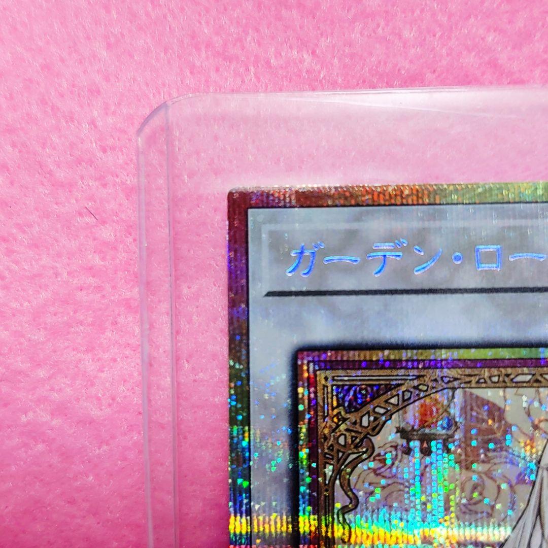 ️⭕️お値下げ中！！ガーデンローズメイデン プリズマティックシークレット