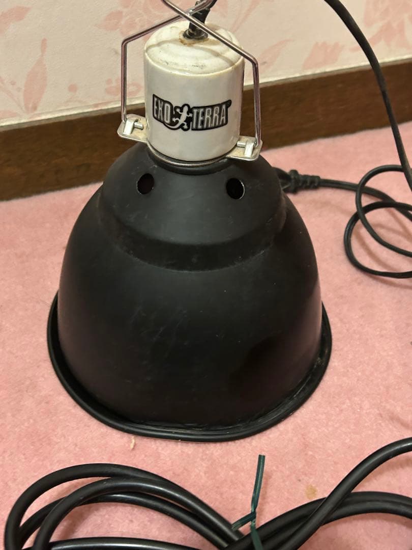 【動作確認済み】エキゾテラ ズーメッド 爬虫類用品セット