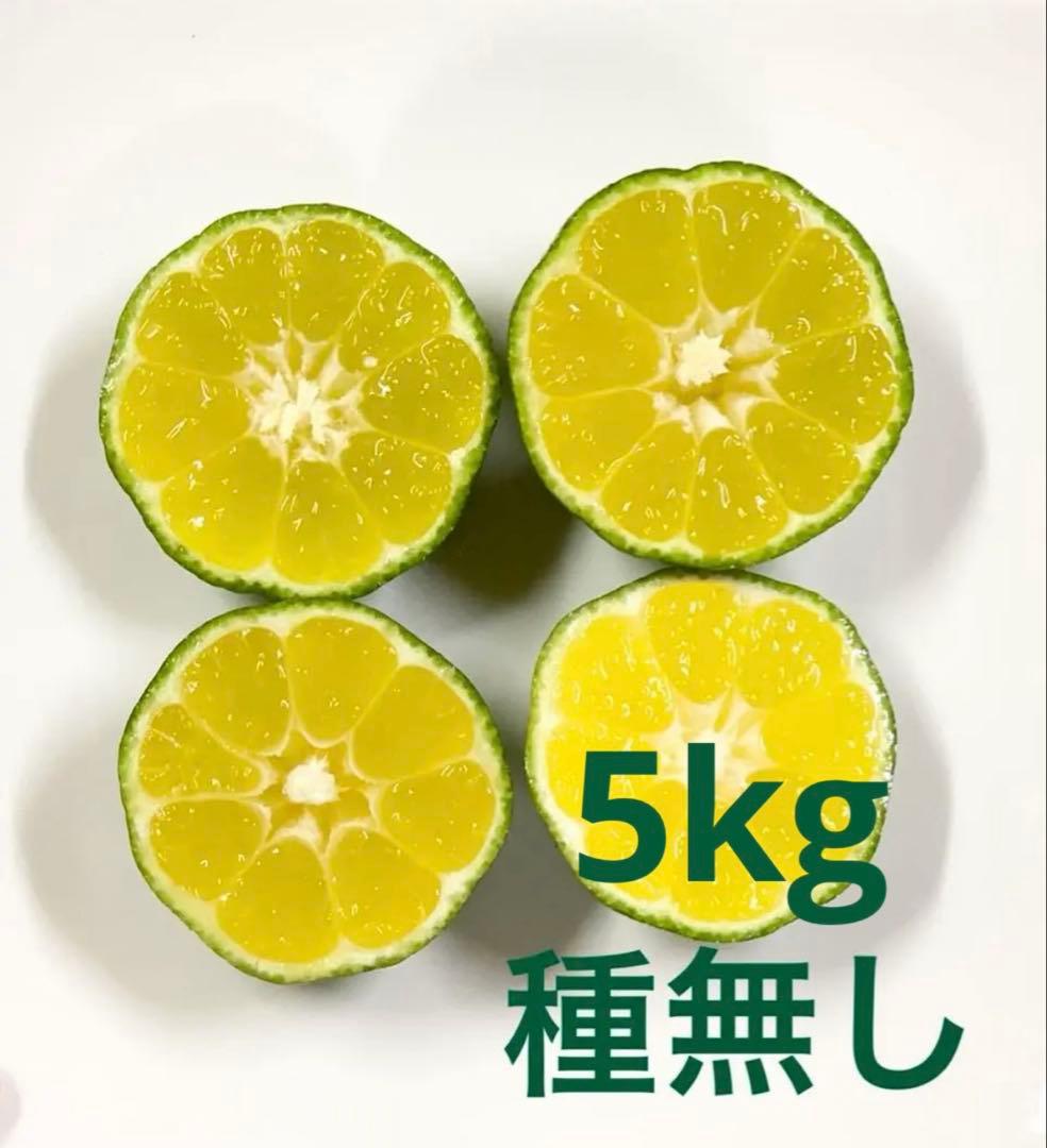 沖縄県産種なしシークヮーサー5kg