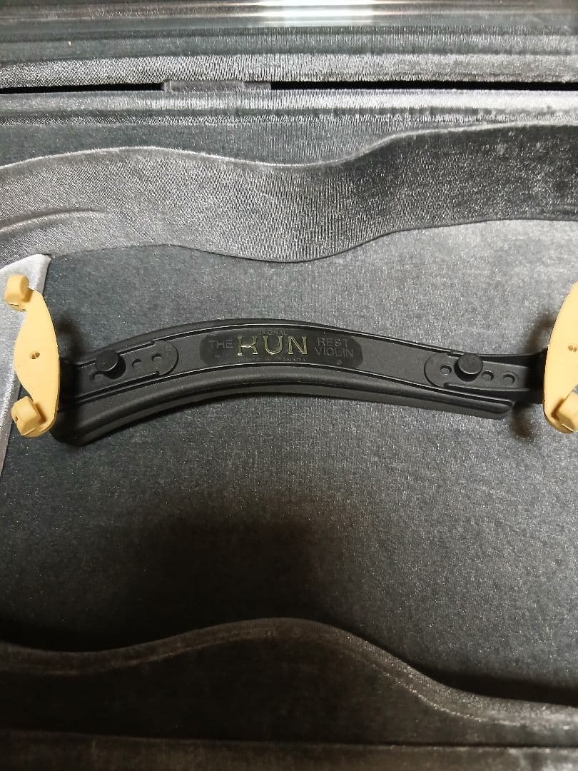 バイオリン スズキ No.310 4/4