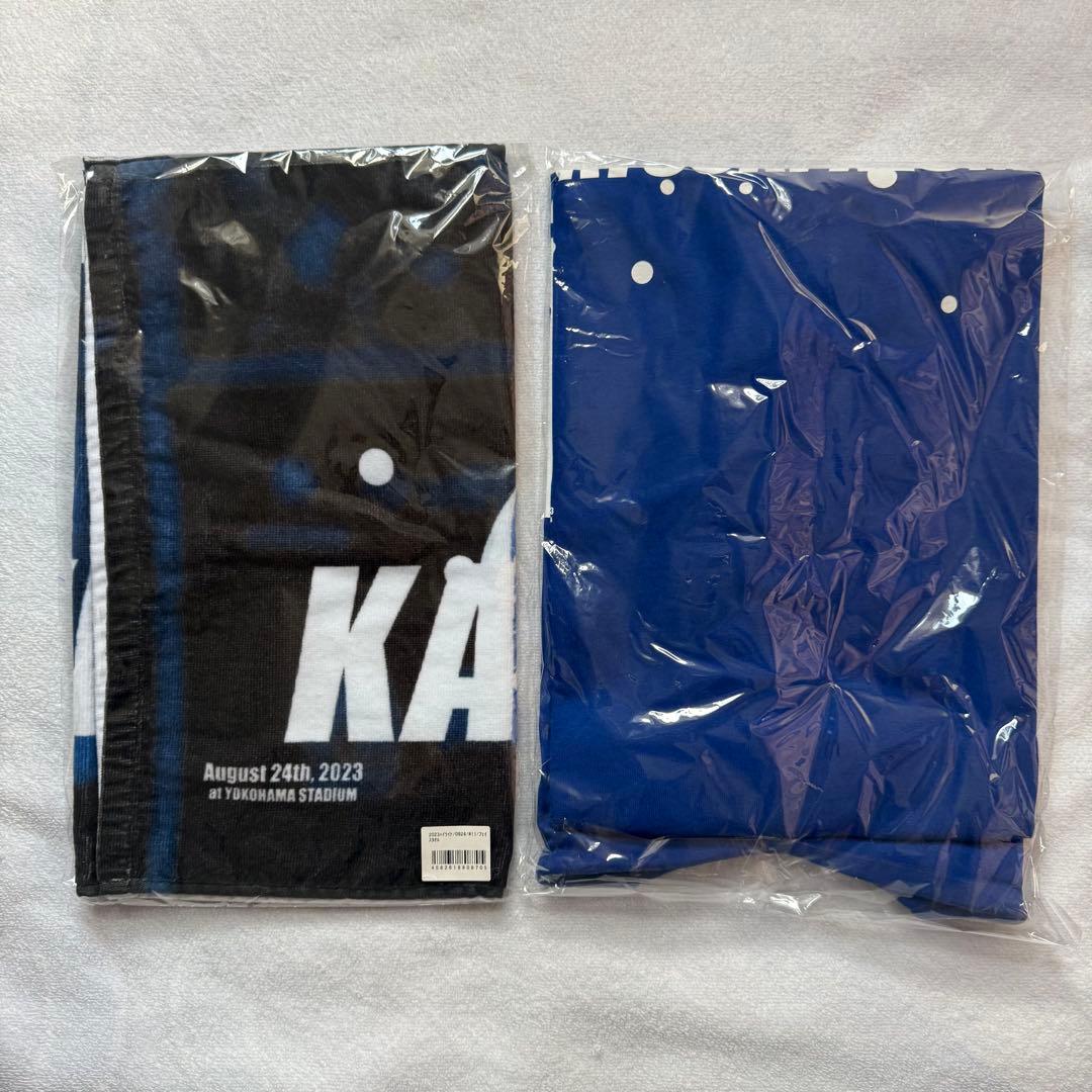 横浜DeNAベイスターズ #11 東克樹2023年 ハイライトグッズ セット