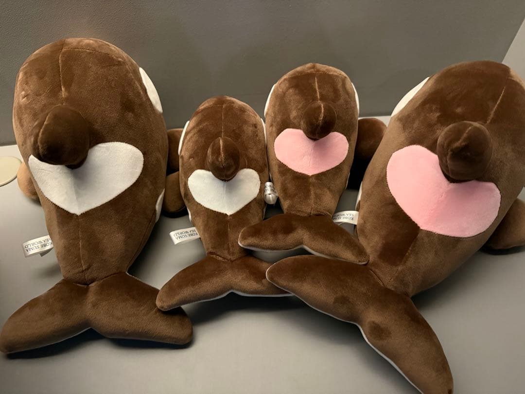 オルカくじ　新色　ショコラ・デュオ　3等　4等　4匹セット　須磨シーワールド